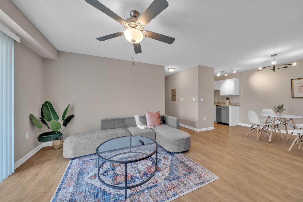 Apartment interior